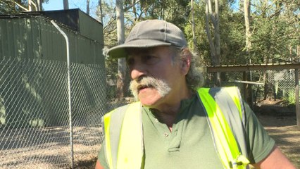 Des prisonniers australiens s'occupent d'animaux abandonnés