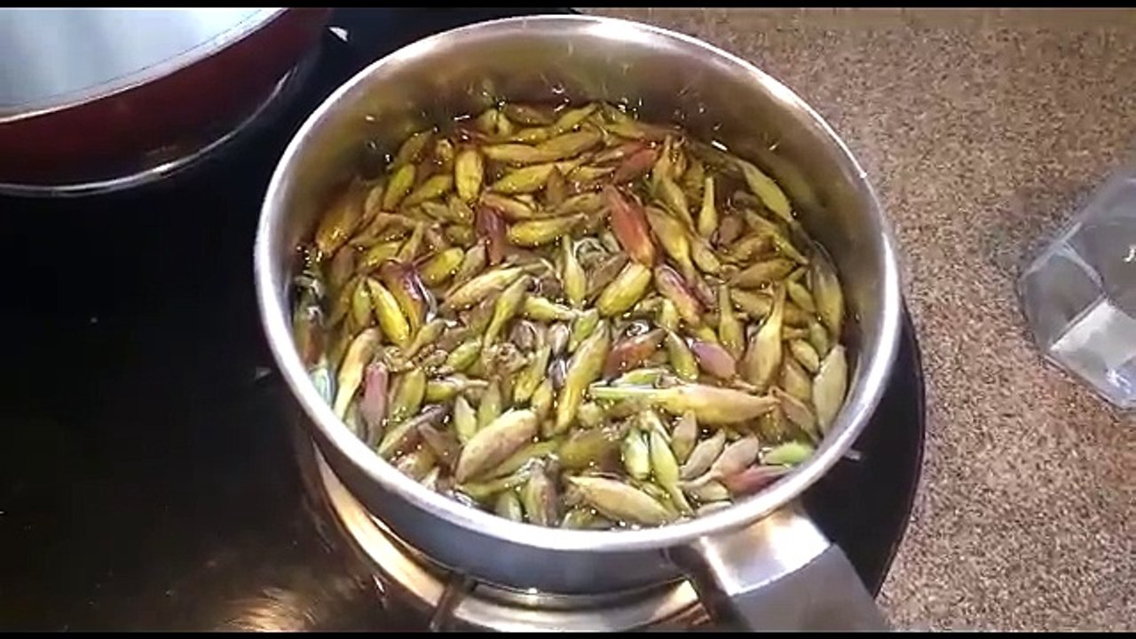Cooking Phanera Variegata Vegetable