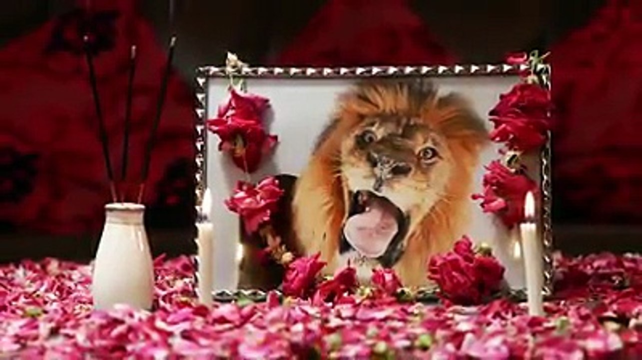 Funny video about PML (N)