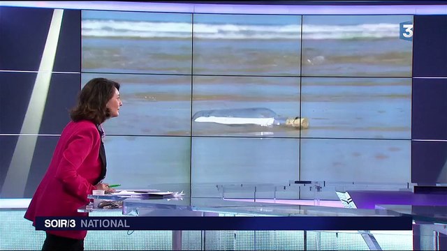 Une petite fille lance un message à la mer en Floride, il arrive dans la Manche 2 ans plus tard