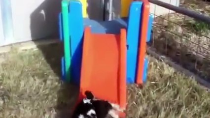 Best MEGA FAILS of February 2017 - Funny Fail Compilation