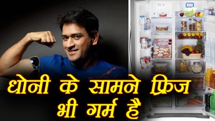 MS Dhoni is cool than a fridge, CSK's official account tweeted, know more । वनइंडिया हिंदी