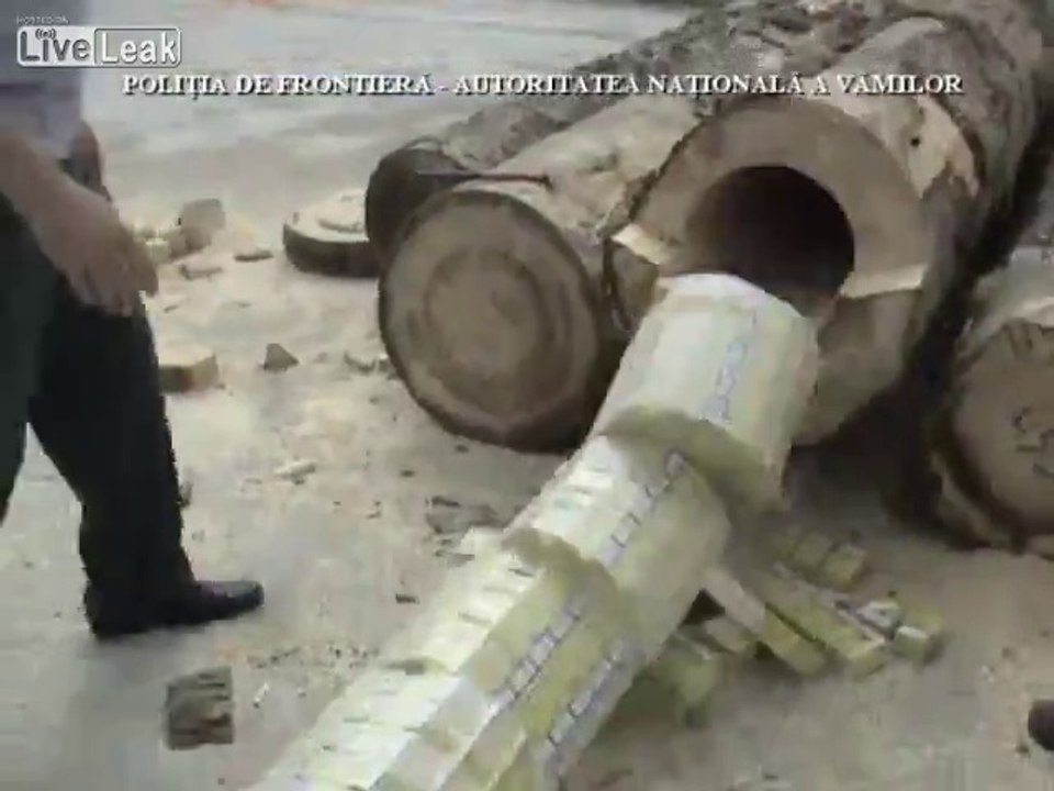 Milliers de cigarettes de contrebande cachées dans des troncs arbres