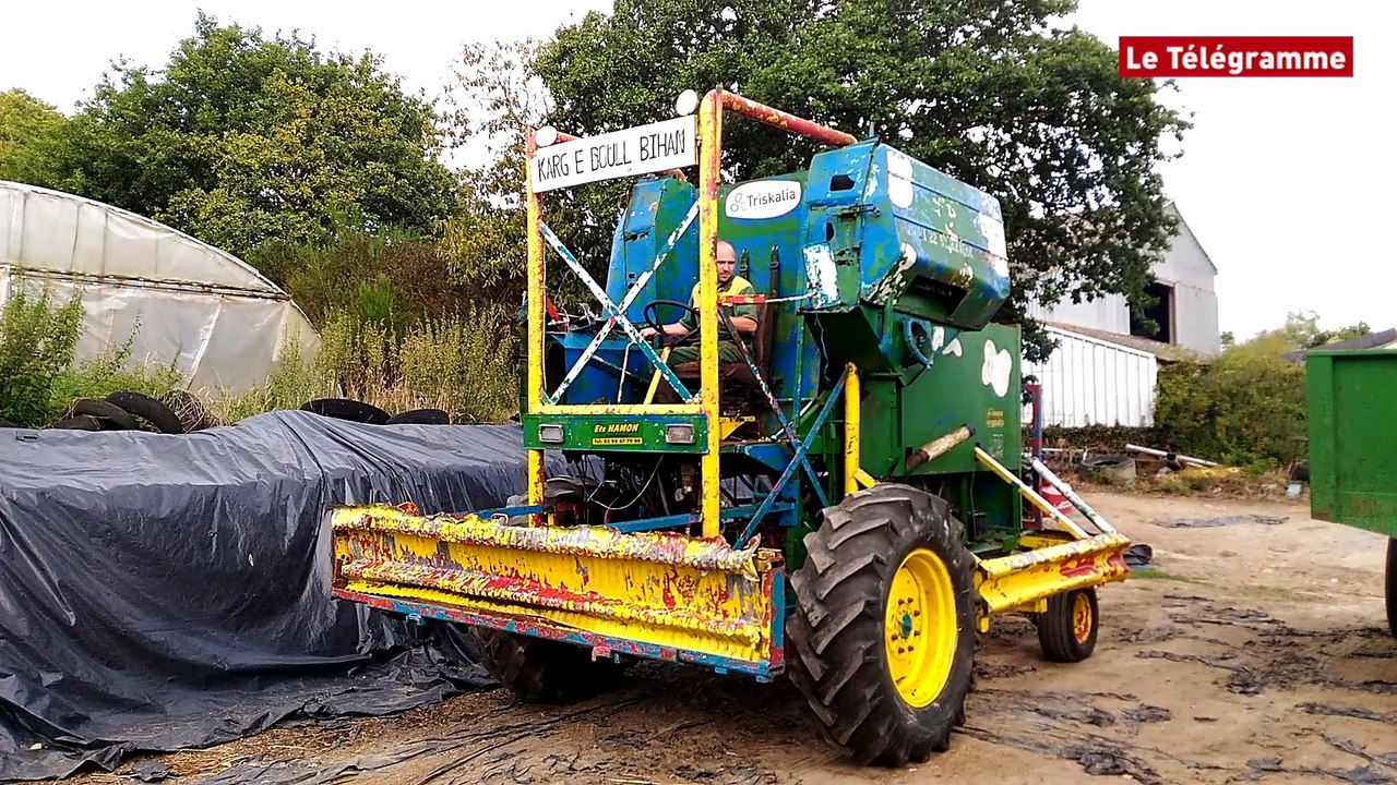 Lannion. Moiss' Batt' Cross : derniers ajustements pour "Karg e Doull"