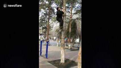 Descargar video: Ce maître Kung Fu grimpe 10m d'arbre en 5 secondes à mains nues !!