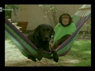 Il nostro amico Charly 10x06 - Un caso per Maren