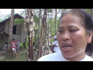 The potions of Siquijor