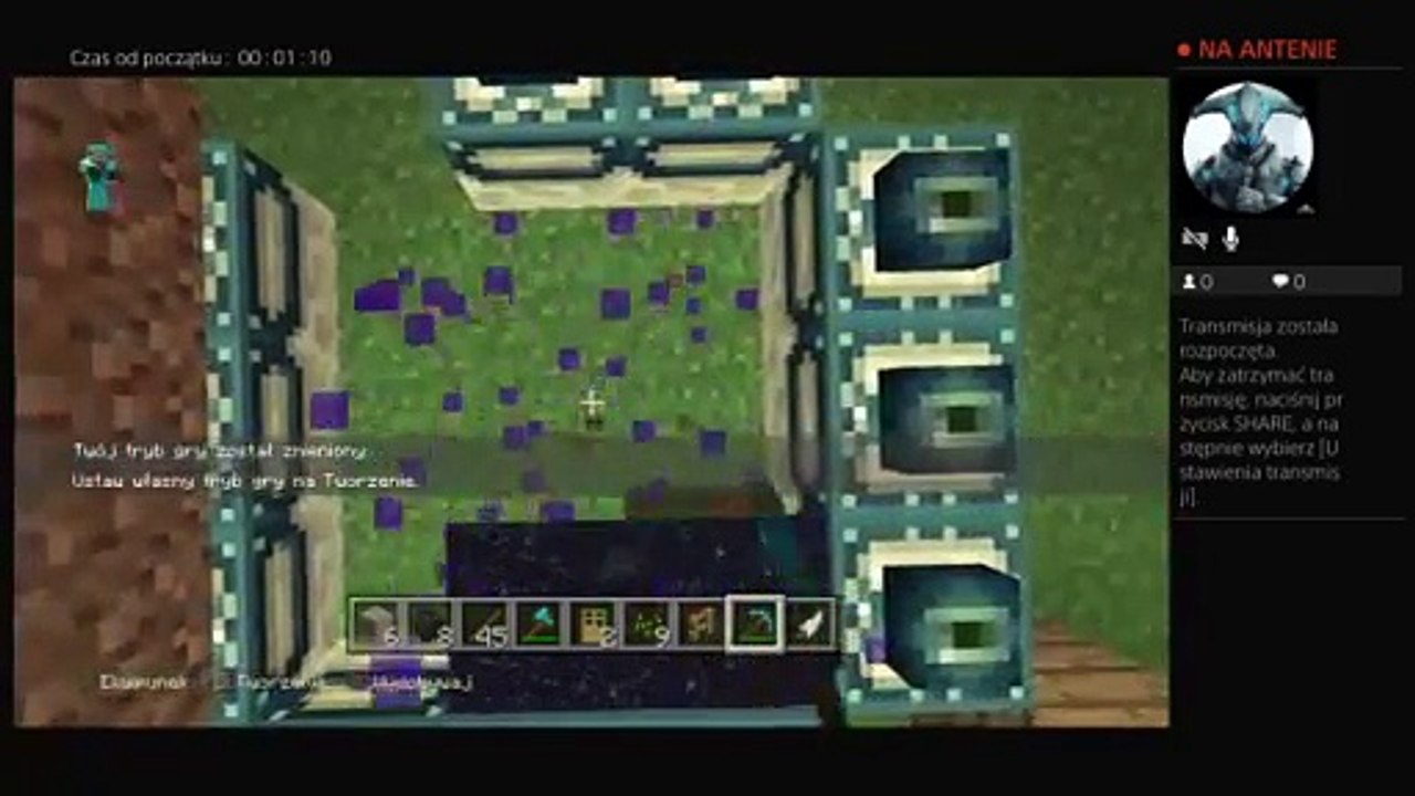 Live Minecraft (27)
