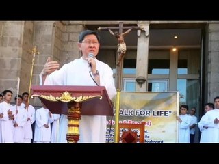 Stand up against killings, violence, injustice—Tagle