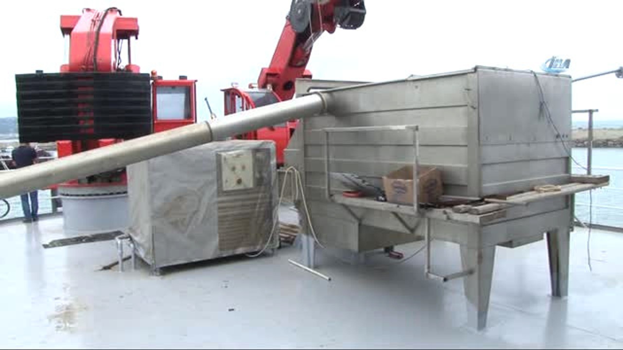 Balıkçılar Sezon Öncesi Hamsiden Umutlu