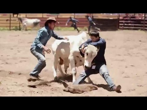 Masbate turns into ‘cowboy country’ for rodeo festival