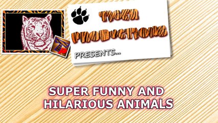 Ultimate TRY TO STOP LAUGHING challenge - Best FUNNY ANIMAL compilation