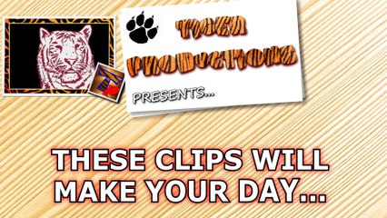 You will LAUGH SO HARD that you will FALL OUT OF CHAIR - FUNNY VIDEOS compilation