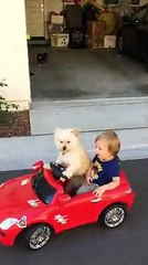 Dünyanın En Sevimli Şöförü