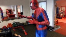 Spiderman VS Catwoman - Superhero Battle
