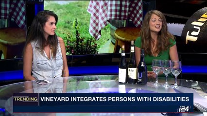 TRENDING | Tulip: a vineyard with a unique social vision | Friday, August 25th 2017