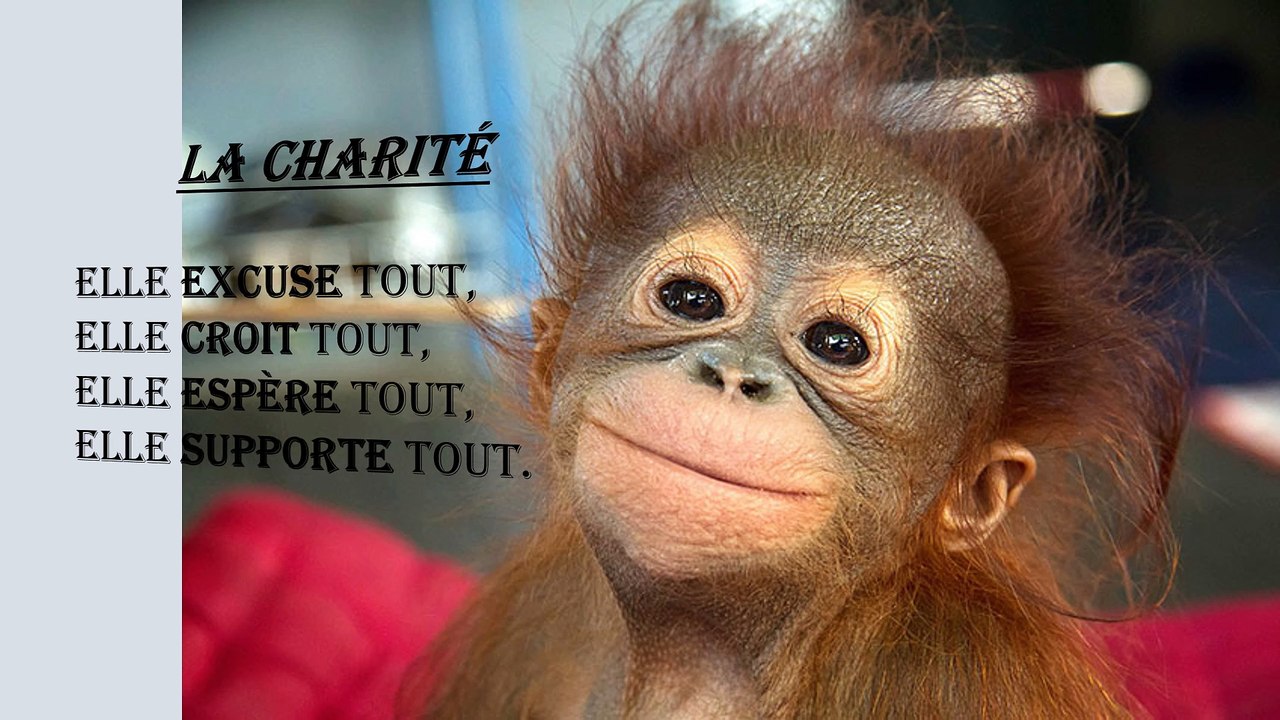 Pensée 2 La Charité