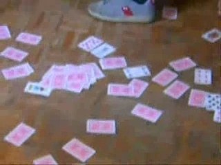 YELLE, je veux te voiir