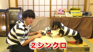 壽司拉麵Riku【中文字幕】持續模仿狗狗的動作 究竟甚麼時候才會生氣呢？wwww