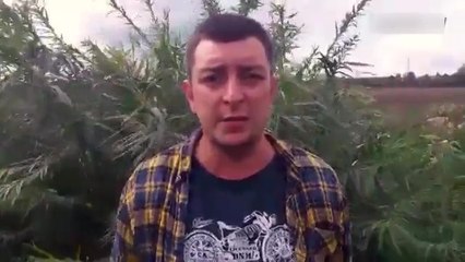 "Нам 26, а мы голые, надо хоть трусики одеть", - это самое оригинальное поздравление с Днем Независимости