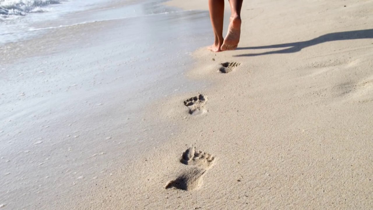 CÁT BỤI CUỘC ĐỜI - Kraoke. HD