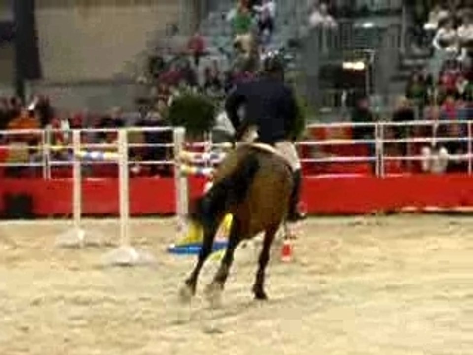 Salon du cheval de Montpellier 2007