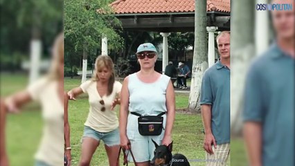 Le top 5 des films avec des chiens