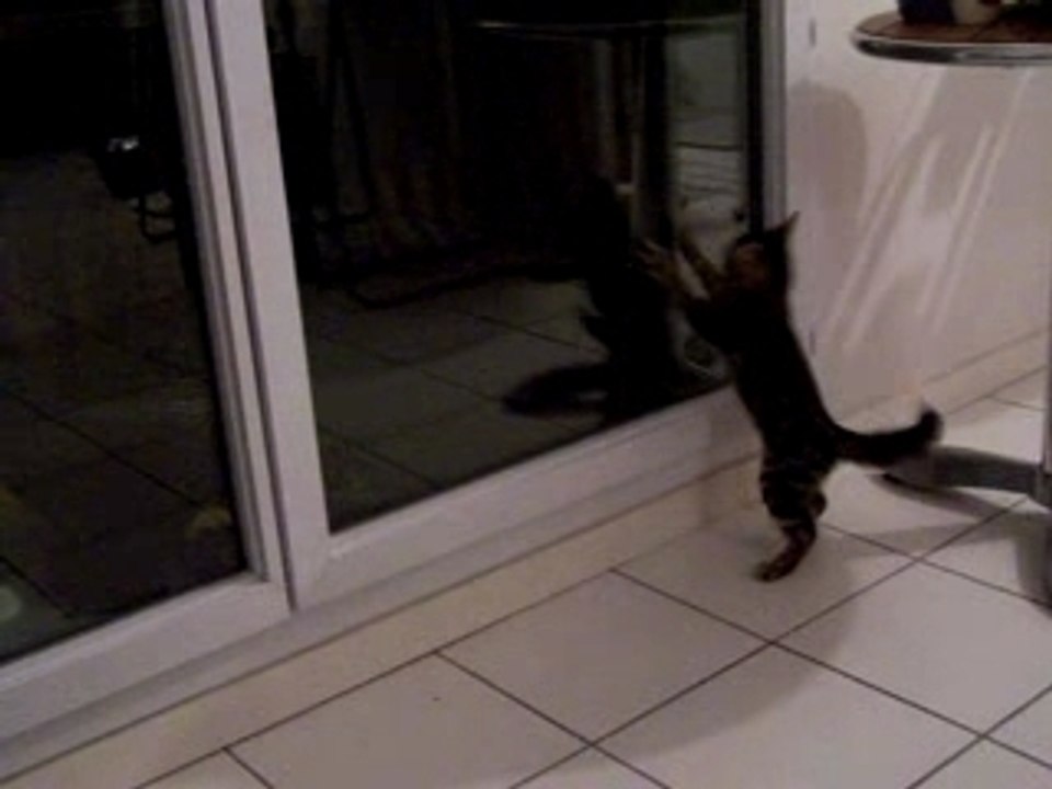 Photo 019