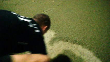 Swarm of Mosquitoes Look Like Sand