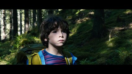 Dans la forêt (2017) Entier VF (1080p_24fps_H264-128kbit_AAC)