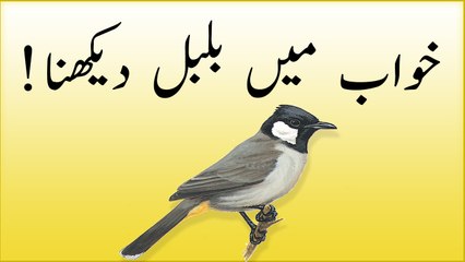 khwabon ki tabeer in urdu -  khwab mein bulbul dekhna