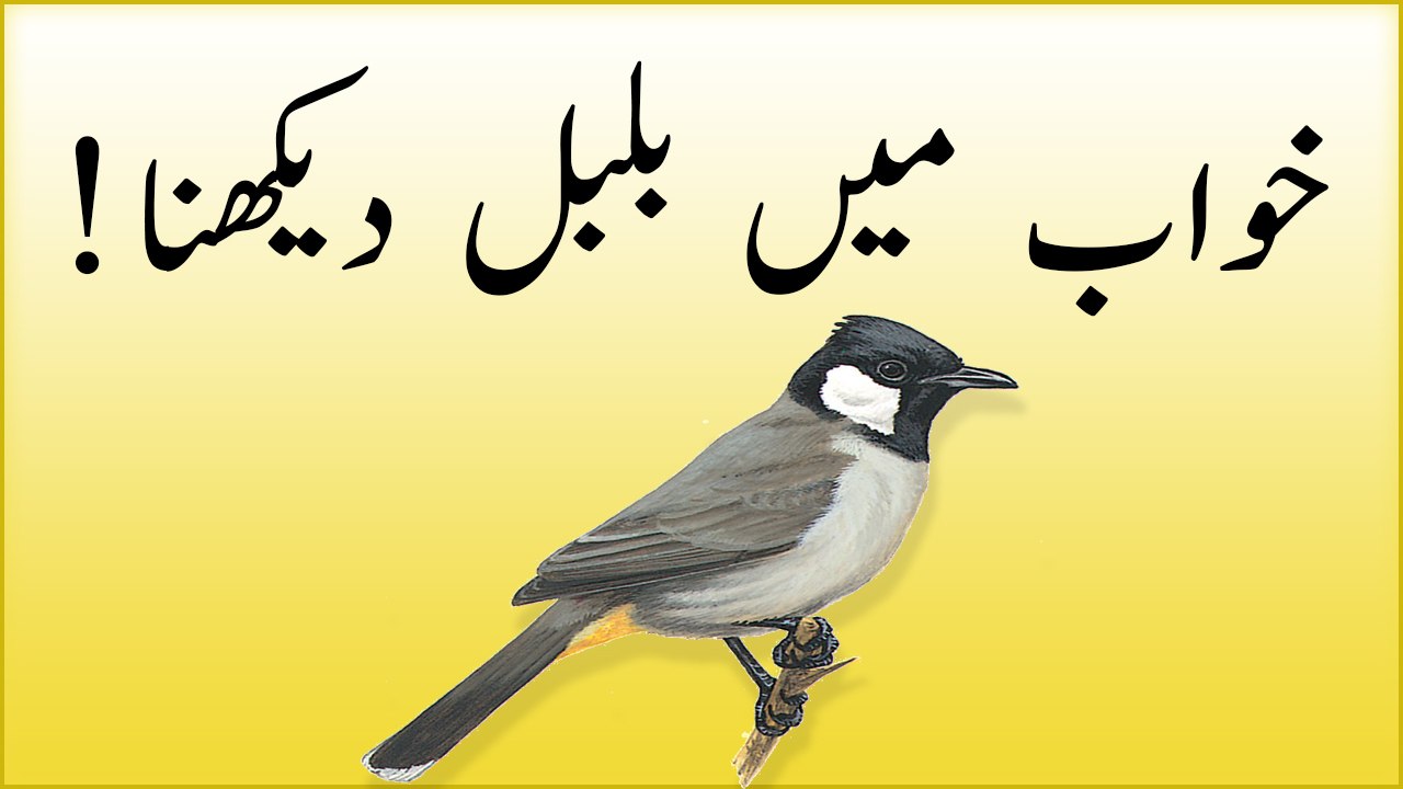 khwabon ki tabeer in urdu -  khwab mein bulbul dekhna