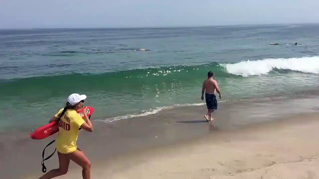 Tiburón devora león marino a pocos metros de la orilla