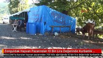 Zonguldak Hayvan Pazarından 10 Bin Lira Değerinde Kurbanlık İnek Çalındı