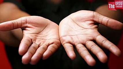 What Does These Lines On Your Hands Say About Yourself. Do You Have The Same Lines - TUT