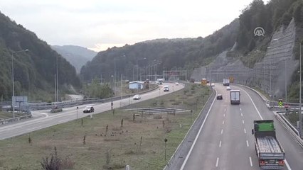 Anadolu Otoyolu'nda Bayram Trafiği (2)