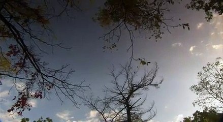 THAD PHILLIPS   ESQUIVANDO A LA MUERTE EN ESPAÑOL