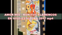 AMOR MÍO- BONITAS FLAMENCOS en vivo Estepona,noche de agosto 2017 mp4