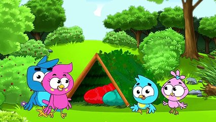 Birds Family Dad Looks in The Mirror Eps Cartoon Animation Nursery Rhymes by Arnold Thurlo