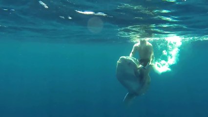 Ce homme surf sur un poisson Mola au mexique. Fou