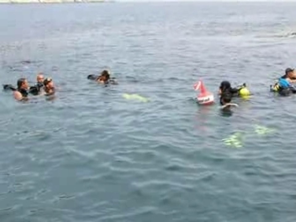 Une journnée de plongée