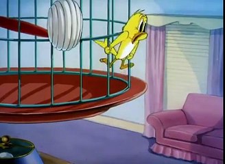 Tom and Jerry - Kitty Foiled