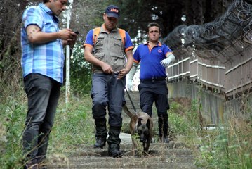 Ormanlık Alandan Gelen Kadın Çığlıkları Polisi Harekete Geçirdi!