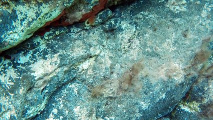 Laghetto dei Gamberetti  - Pantelleria