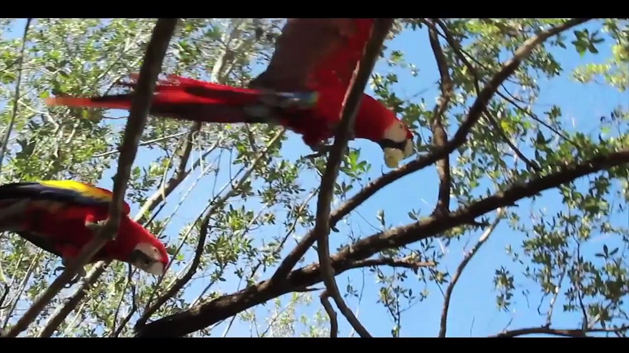 La Isla Zacate Grande o volcán extinto en Honduras