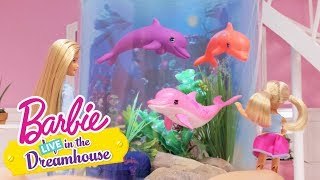 Accidentally on Porpoise | Barbie LIVE! In the Dreamhouse | Barbie