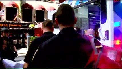 Dog Attacks During Fight Between 'Heavily Drugged' Men at Luxury NYC Highrise