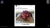 Gordon Ramsay Roasting Dishes on Twitter | Part XIV