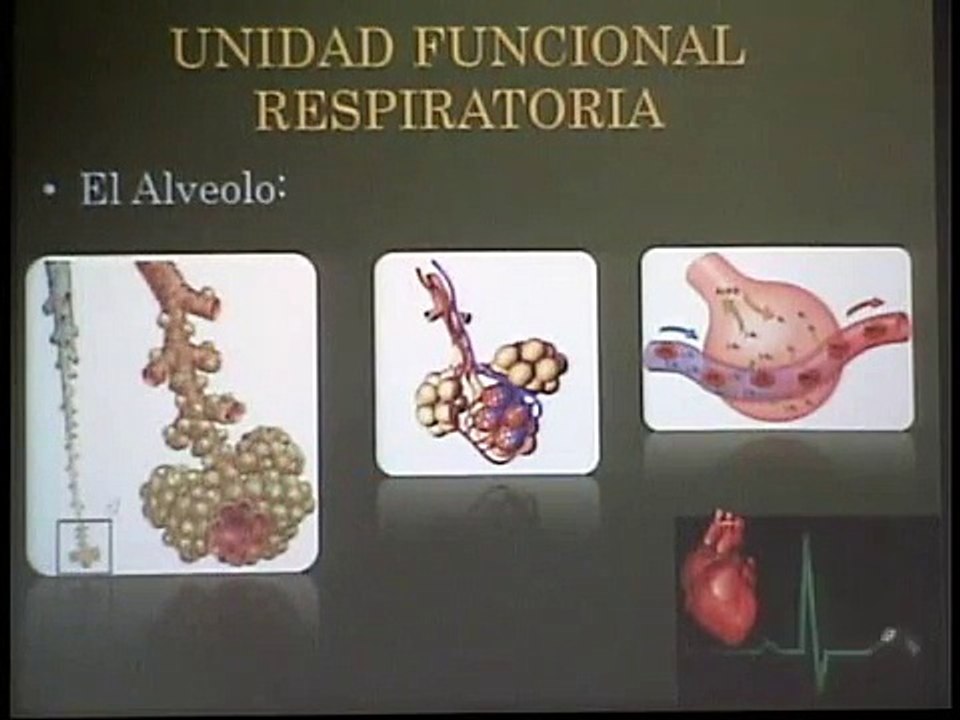 Dispositivos de Bajo y Alto Flujo en Oxigenoterapia