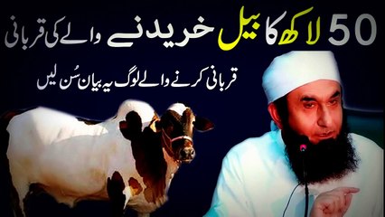 Sacrifice of 5 Million Rupees Bull (بیل) Important Bayan by Maulana Tariq Jameel - Qurbani 2017